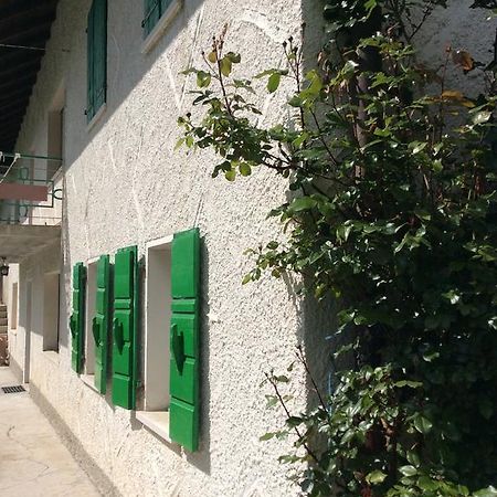 Casa Fiorellino Belluno Zewnętrze zdjęcie